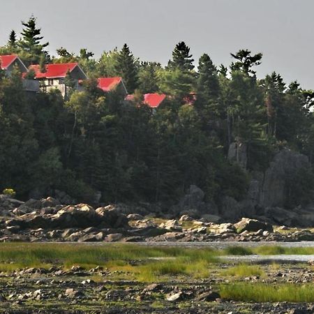 Camping & Chalets De La Demi-Lieue Saint-Jean-Port-Joli Ngoại thất bức ảnh